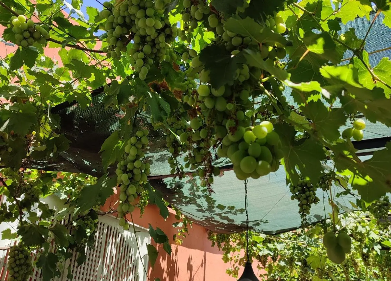 Jaktstuga Tavira Townhome With Private Garden